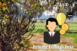 Peluang Usaha di Desa