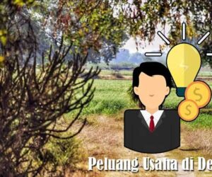 Peluang Usaha di Desa