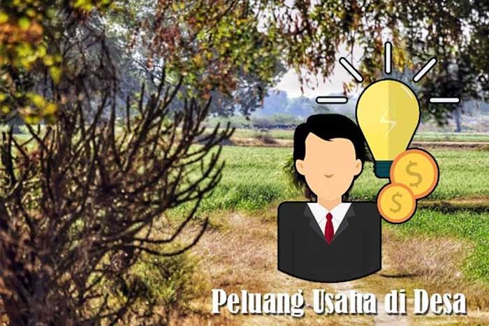 Peluang Usaha di Desa