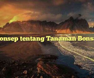 Konsep tentang Tanaman Bonsai