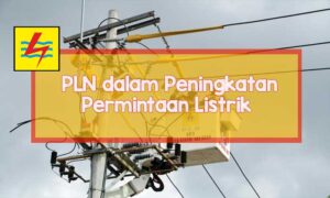 pln