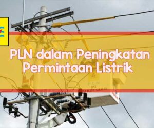 pln